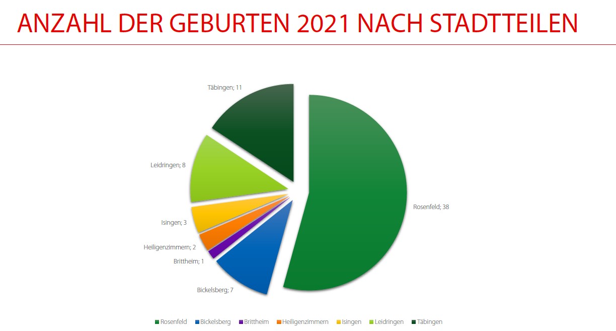 Kreisdiagrmm mit Anzahl der Geburten nach Stadtteilen